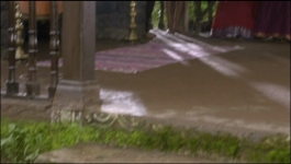 Mere Sai - 11th Aug 2022